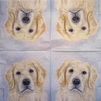 HUN-328 Dogs - 3-ply - ppd - Kristine Andrea